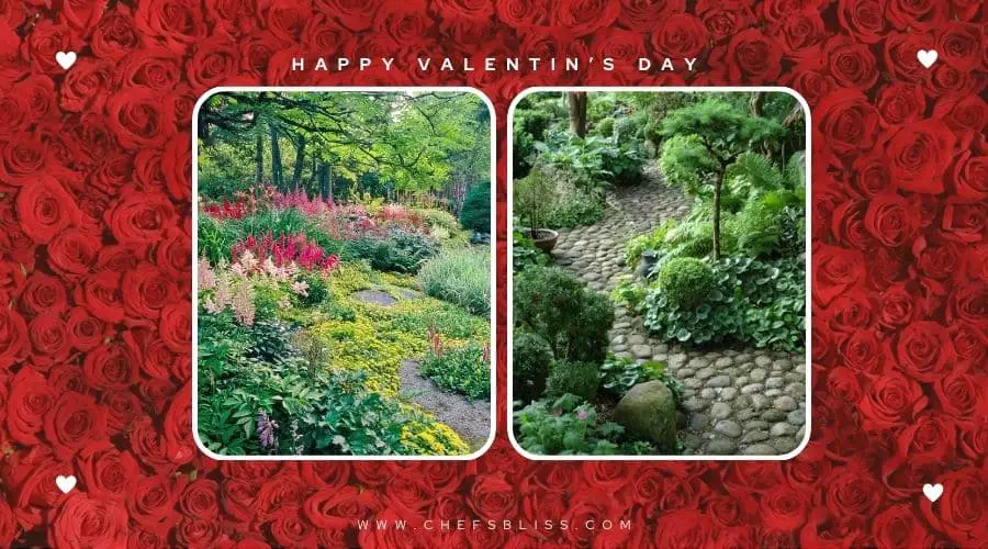 valentine’s day garden shade ideas