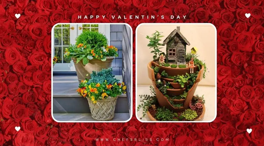 valentine’s day garden terracotta pot ideas