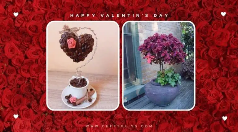 valentine’s day garden topiary tree ideas