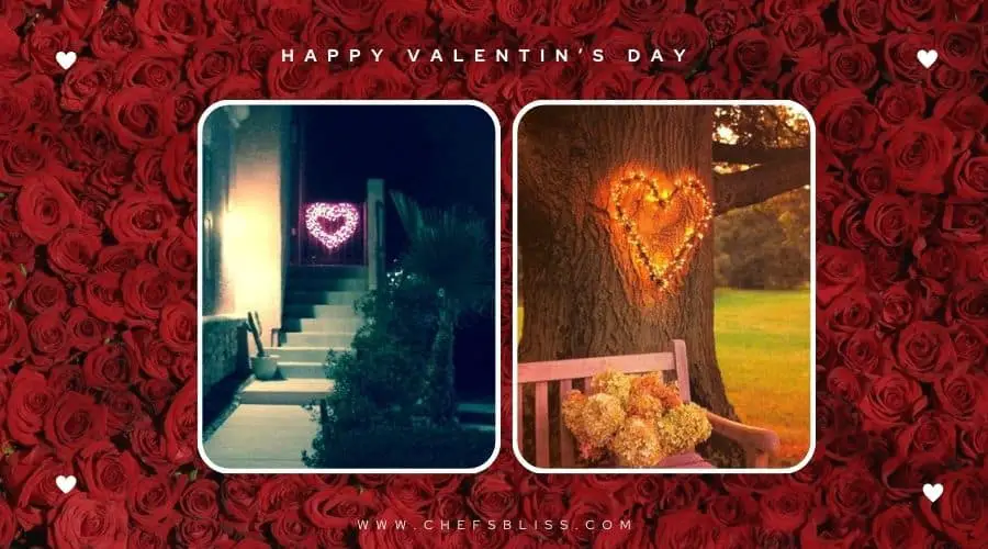 valentine’s day garden trellis lights ideas