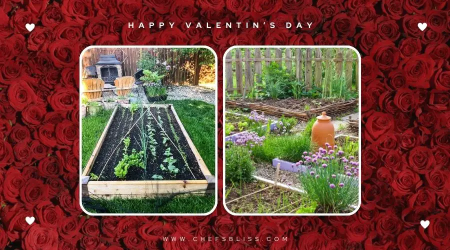 valentine’s day garden vegetable patch ideas