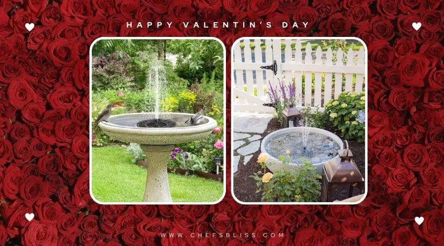 valentine’s day garden water fountain ideas
