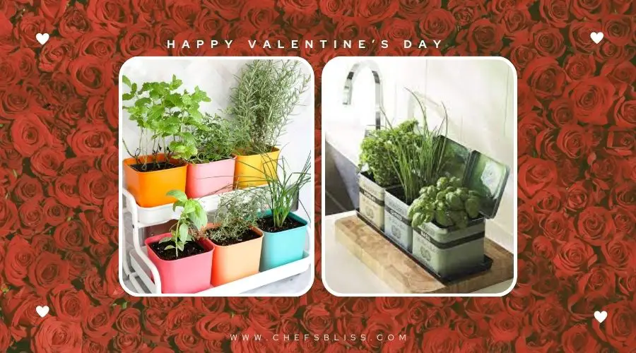 valentine’s day kitchen herb garden gift ideas