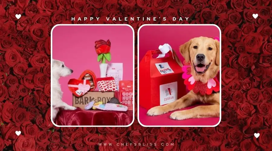 valentine’s day pet care gift ideas