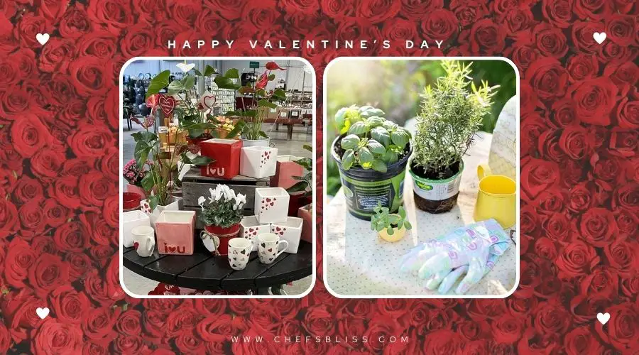 valentine’s day romantic garden kit gift ideas