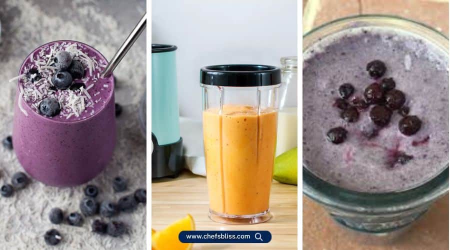 bella bullet blender recipes