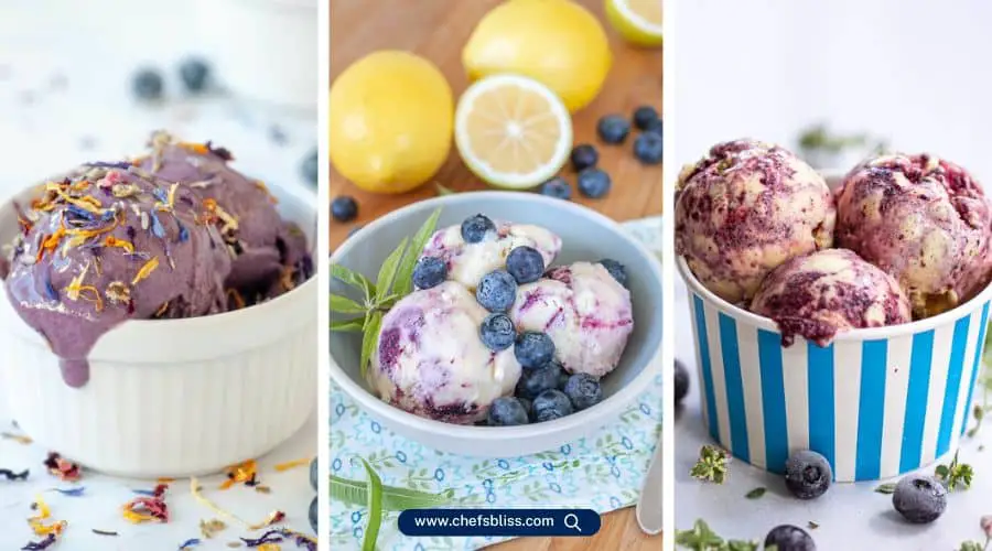 blueberry zest ice cream recipes