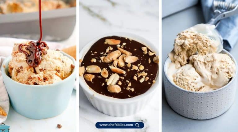 breville chocolate ice cream recipes