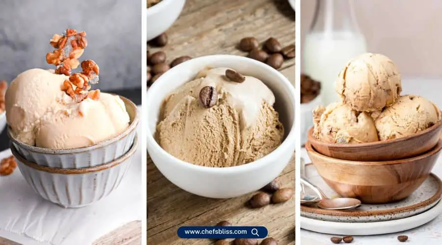 breville ice cream maker bowl recipes