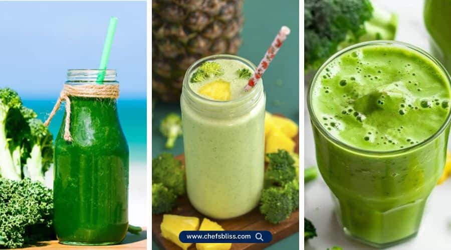 breville pro blender recipes (1)