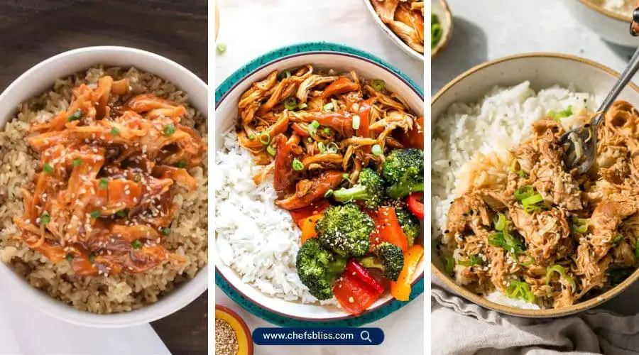 crockpot asian chicken recipes