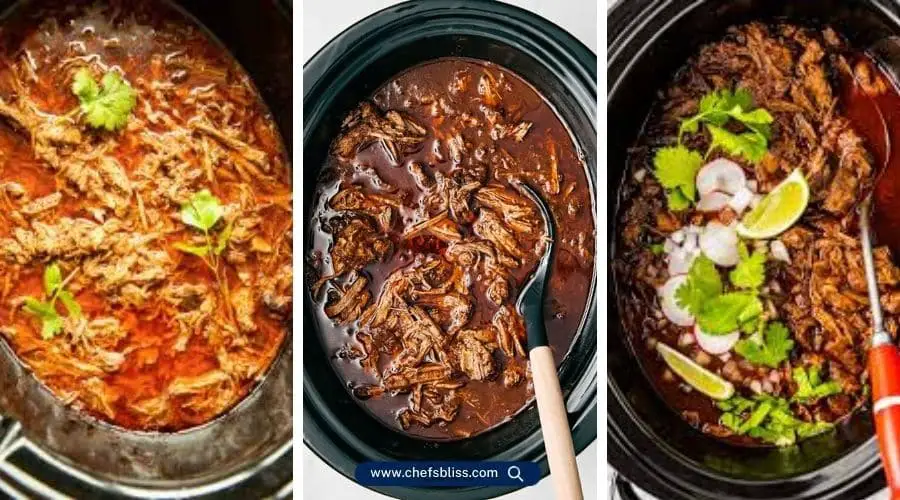 crockpot birria recipes