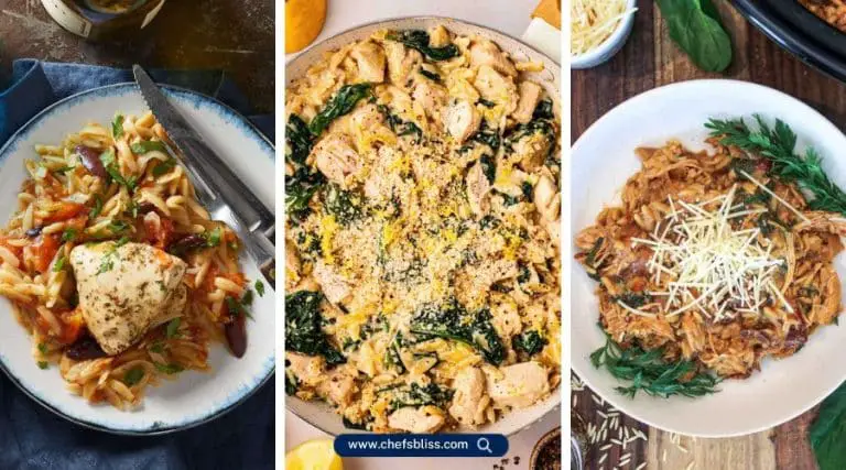 crockpot chicken orzo recipes