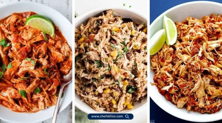 crockpot chicken salsa recipes