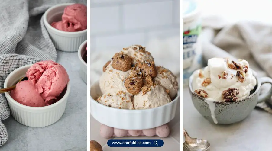 cuisinart yogurt ice cream maker recipes