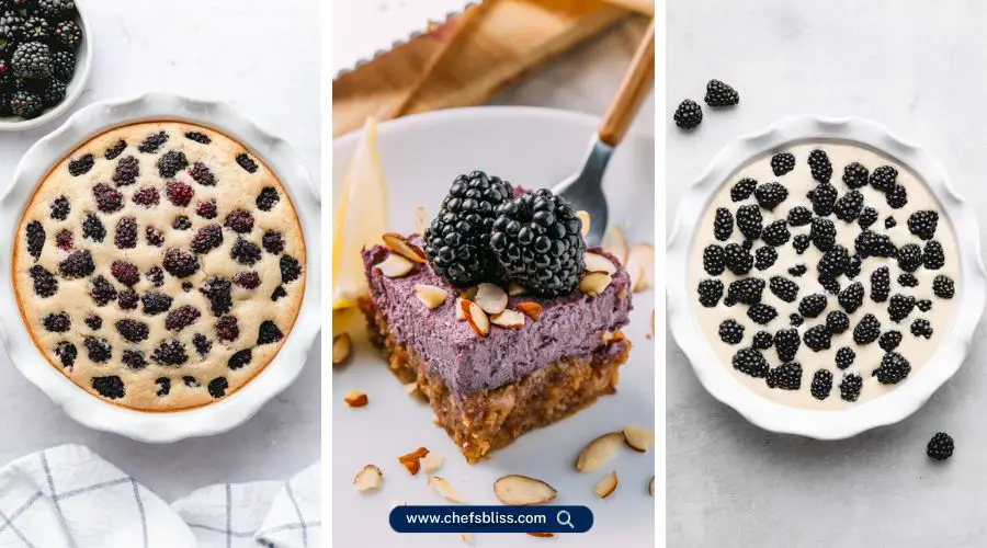 dairy free blackberry recipes