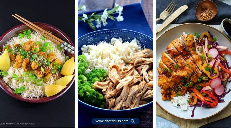dairy free soy free chicken recipes