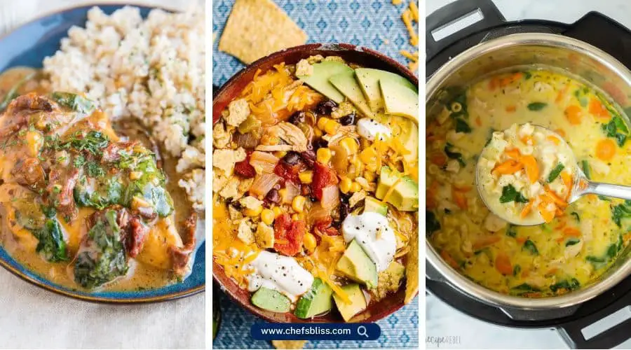 dairy free soy free instant pot recipes