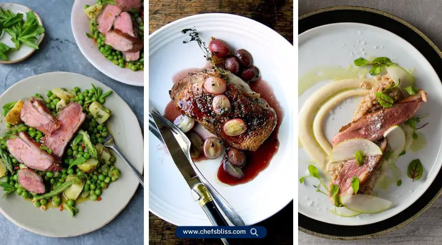 duck breast recipes