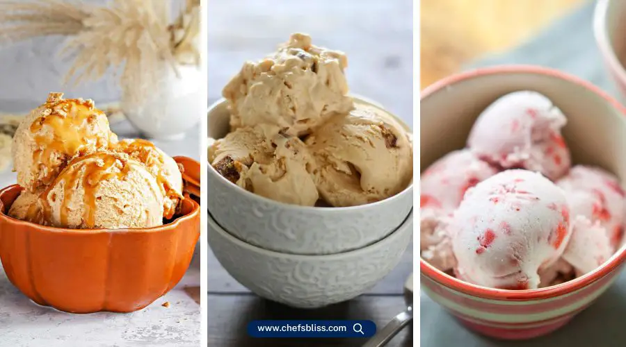 electric ice cream maker recipes