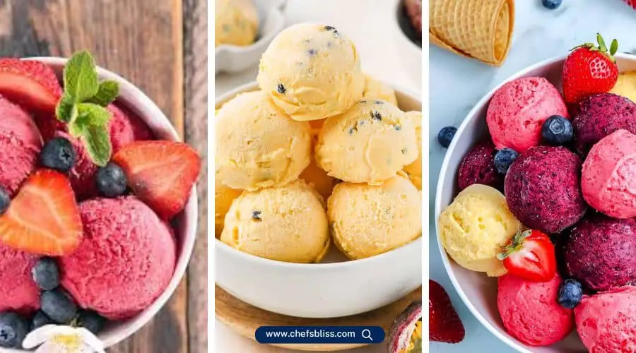 gourmia fruit ice cream maker recipes