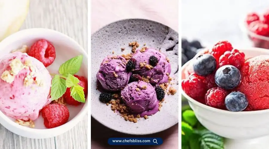 gourmia fruit ice cream recipes