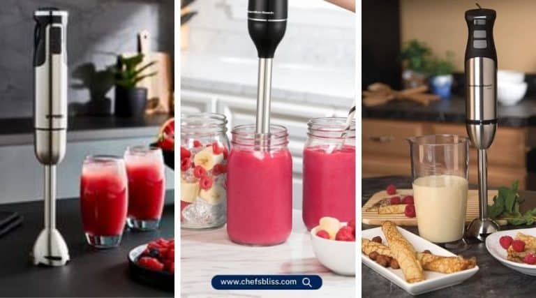 hamilton beach hand blender recipes