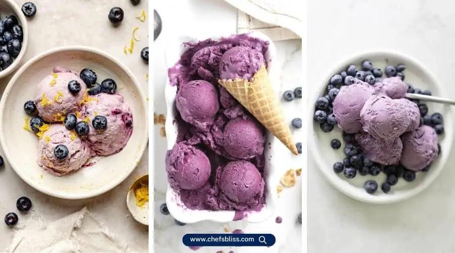 homemade blueberry ice cream recipes