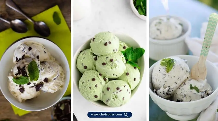 homemade mint chip ice cream recipes