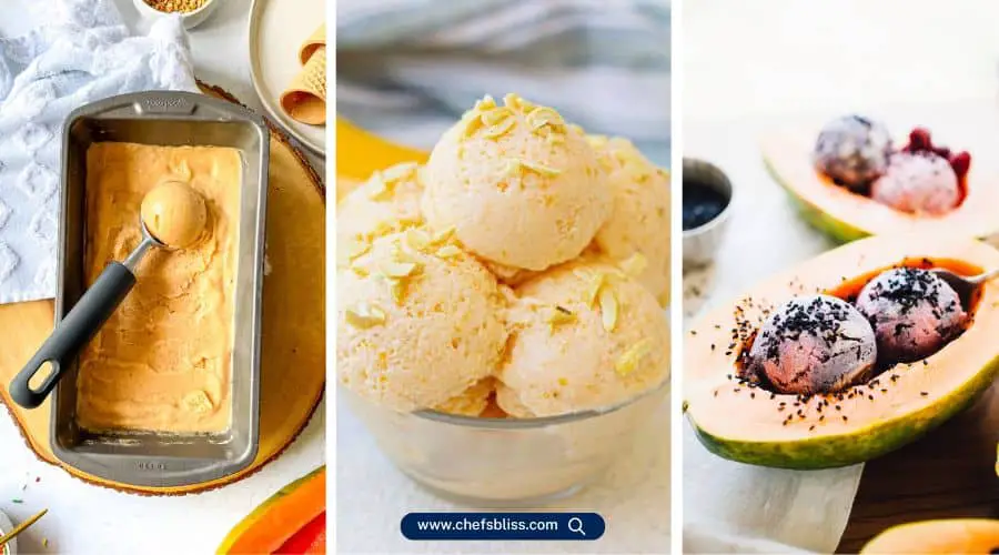 homemade papaya ice cream recipes