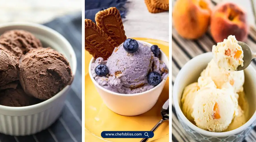 ice cream maker recipes