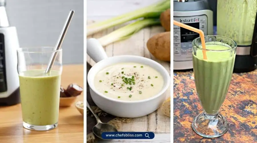 instant ace nova blender recipes