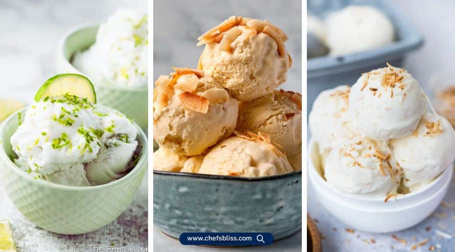 low fat coconut milk ice cream recipes