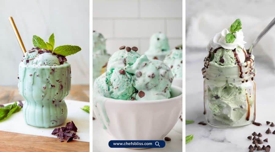 mint ice cream maker recipes
