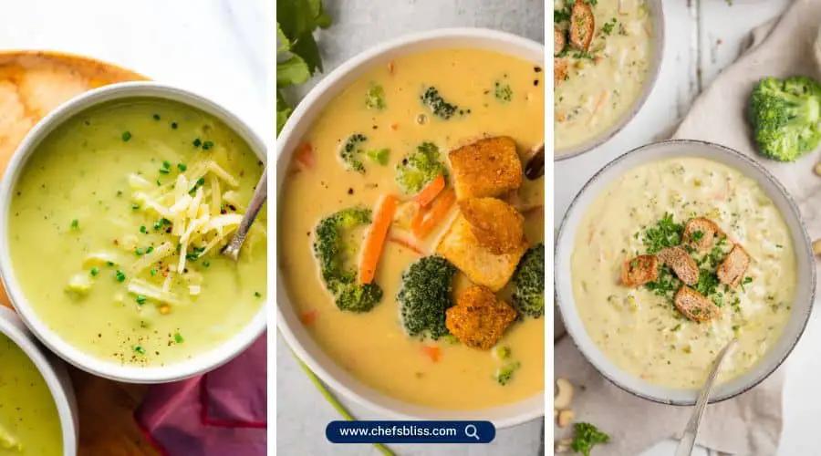 ninja blender cheddar soup recipes