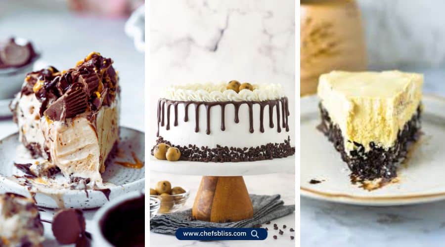 peanut butter ice cream cake recipes