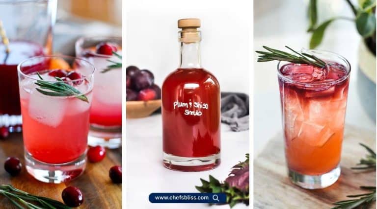 shrub recipes