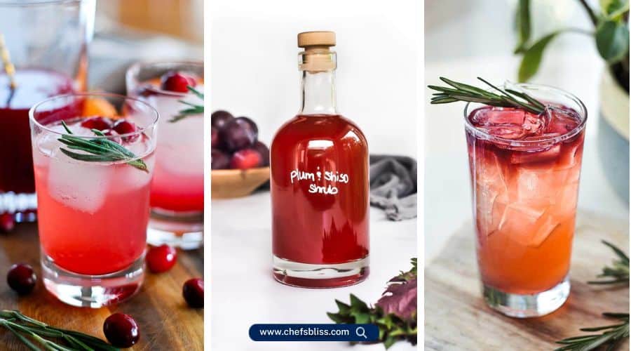 shrub recipes