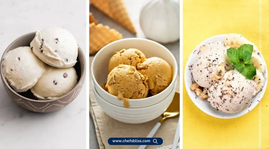 vegan creami ice cream recipes