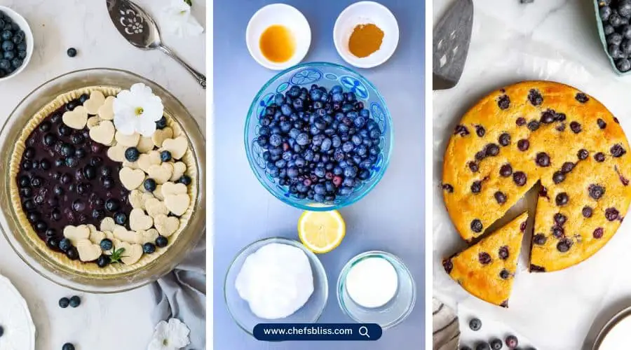 diabetic blueberry muffin recipes (1)