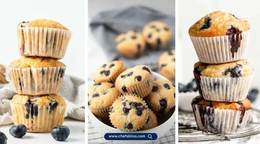 diabetic blueberry muffin recipes