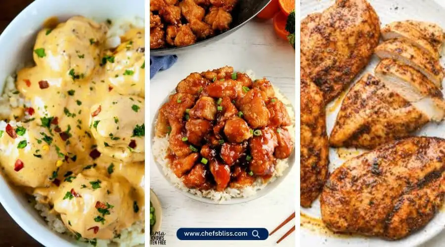 gluten free dairy free chicken recipes