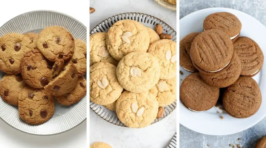 gluten free biscuit recipes
