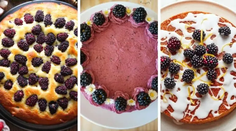 gluten free blackberry cake recipes