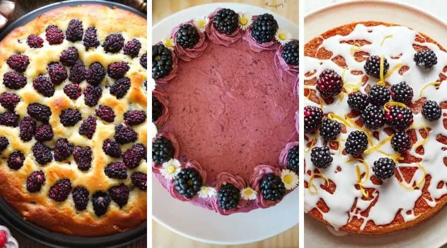 gluten free blackberry cake recipes