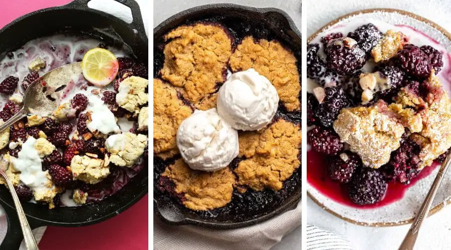gluten free blackberry recipes