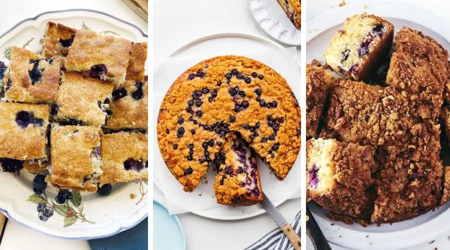 gluten free blueberry cake recipes