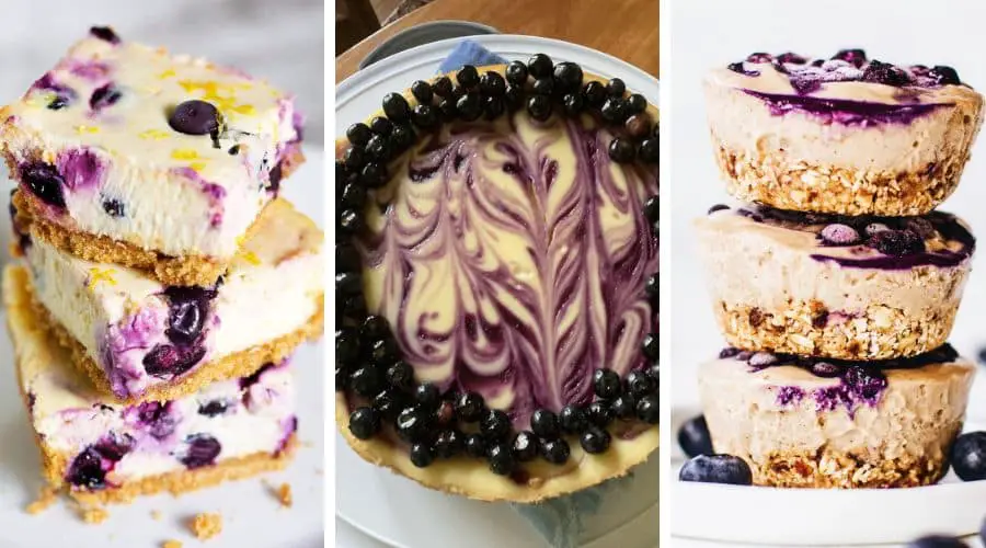 gluten free blueberry cheesecake recipes