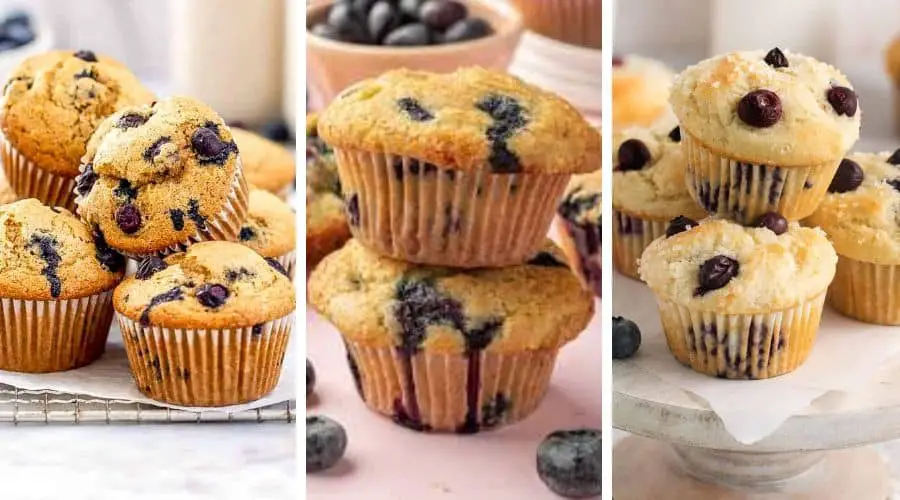 gluten free blueberry muffin recipes