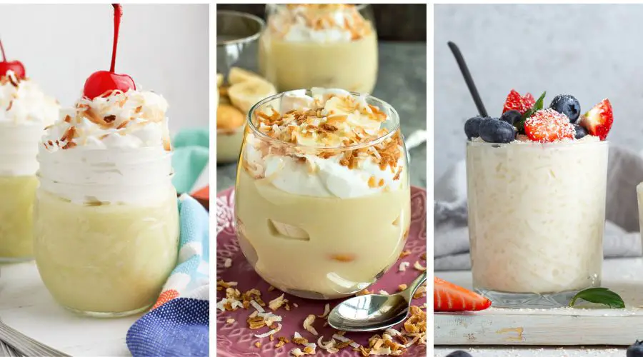 keto coconut pudding recipes